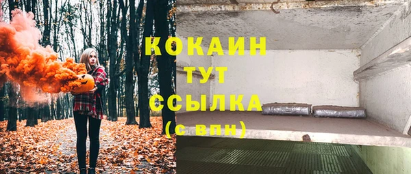 ПСИЛОЦИБИНОВЫЕ ГРИБЫ Лабытнанги