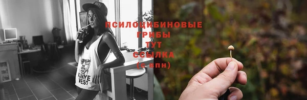 дмт Липки
