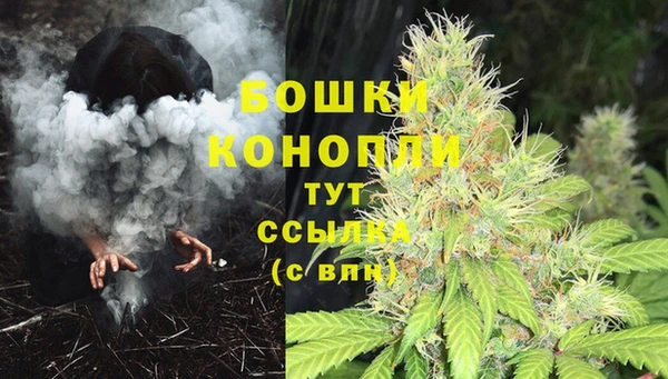 дмт Липки