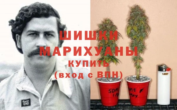 молекула духа Лагань