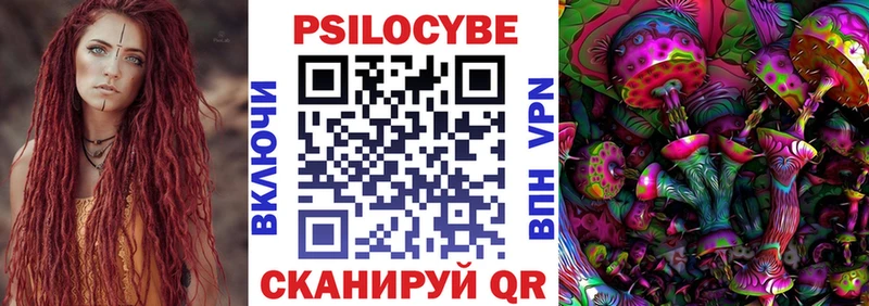 Псилоцибиновые грибы Cubensis  Невельск 